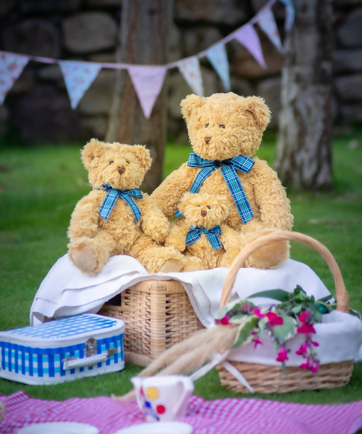 Oso Bracken | Marrn Claro