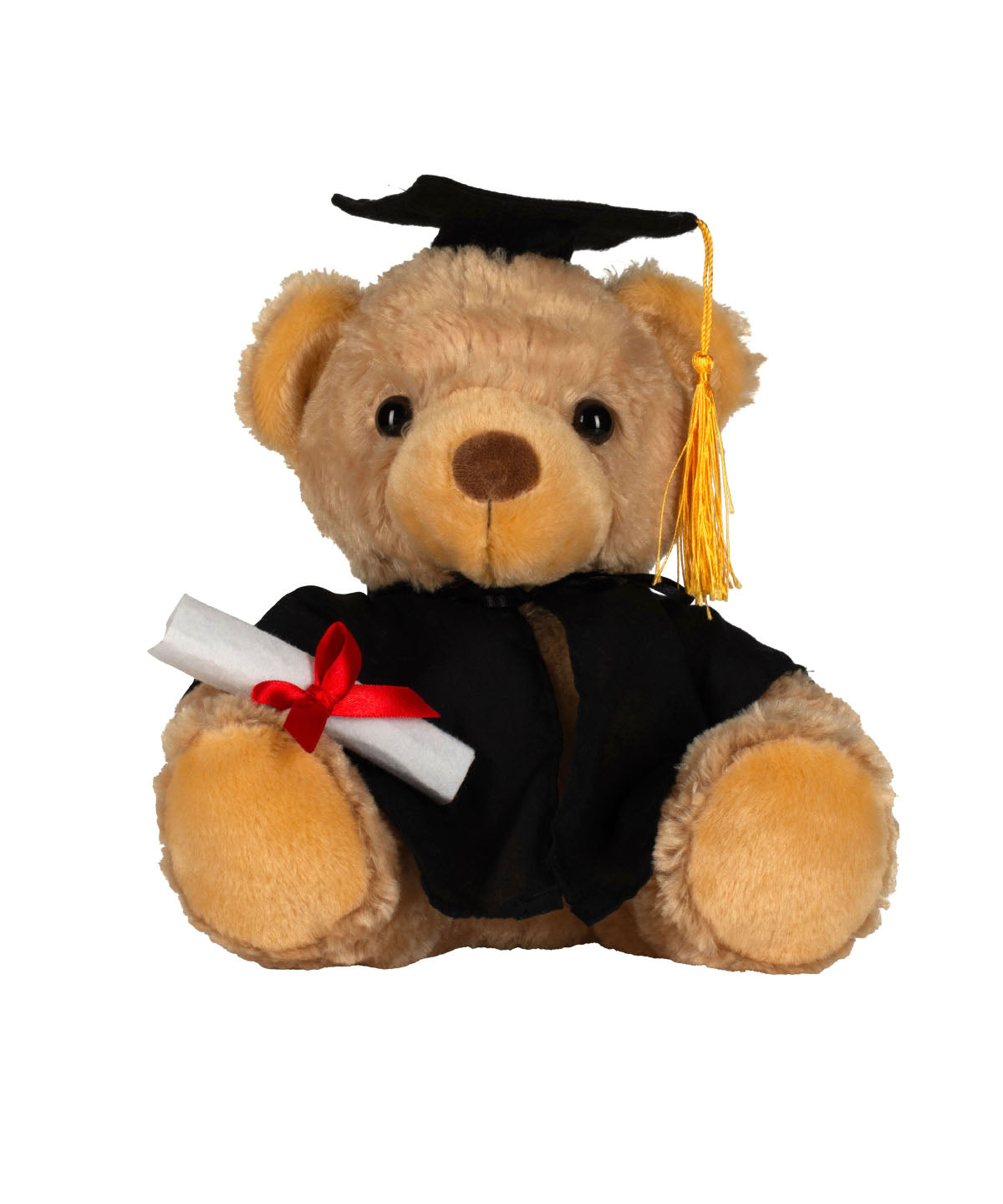 Oso de graduación | Marrón