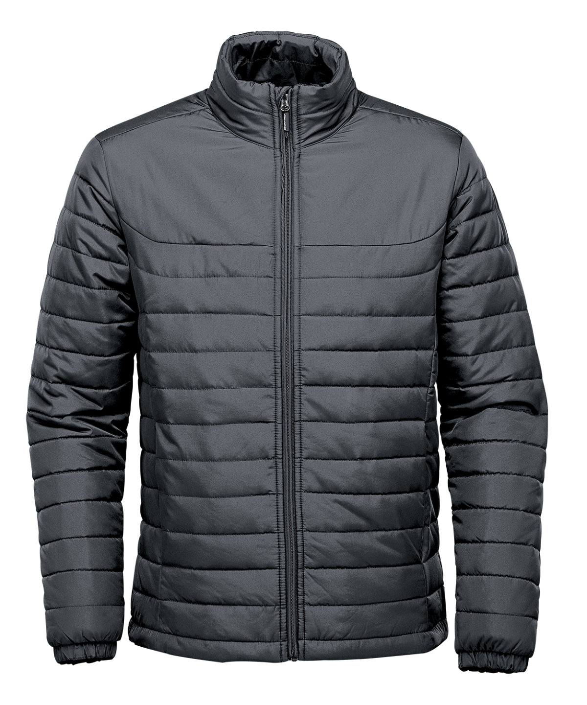 Nautilus Wattierte Jacke | Delfn